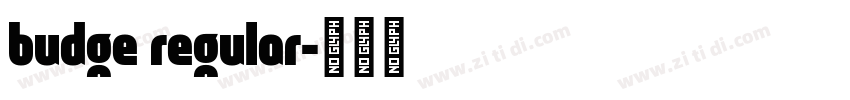 budge regular字体转换